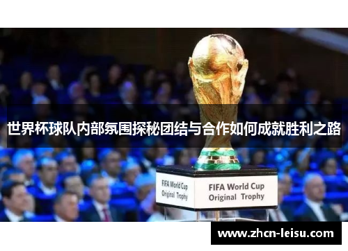 世界杯球队内部氛围探秘团结与合作如何成就胜利之路